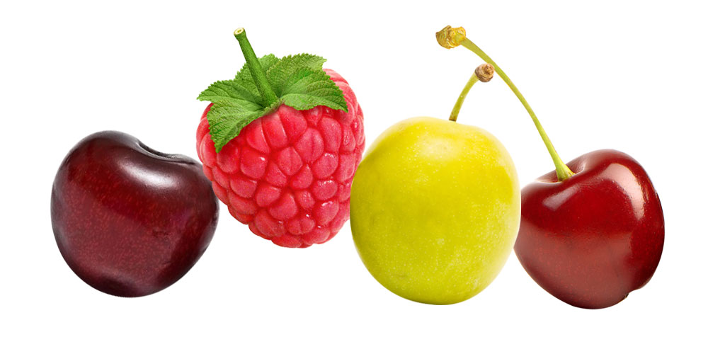 empresa-frutas-horizontal